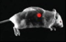 1712033712986854.png 图片2.png