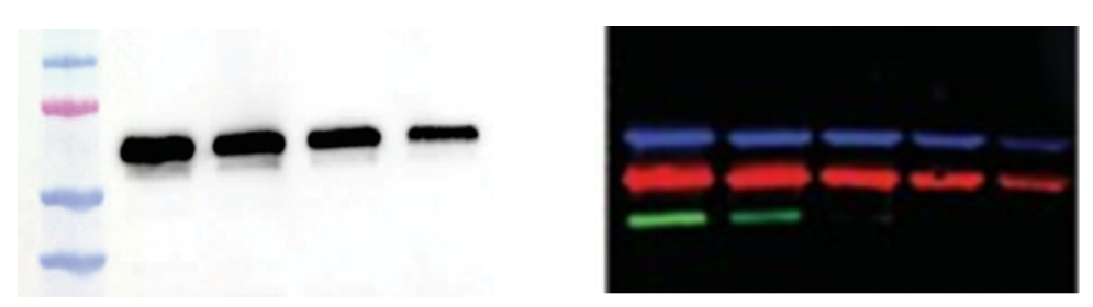 1713746016475689.jpg 1713746016475689.jpg